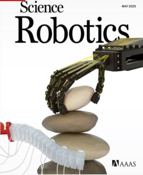 Embodying soft robots with octopus-inspired hierarchical suction intelligence