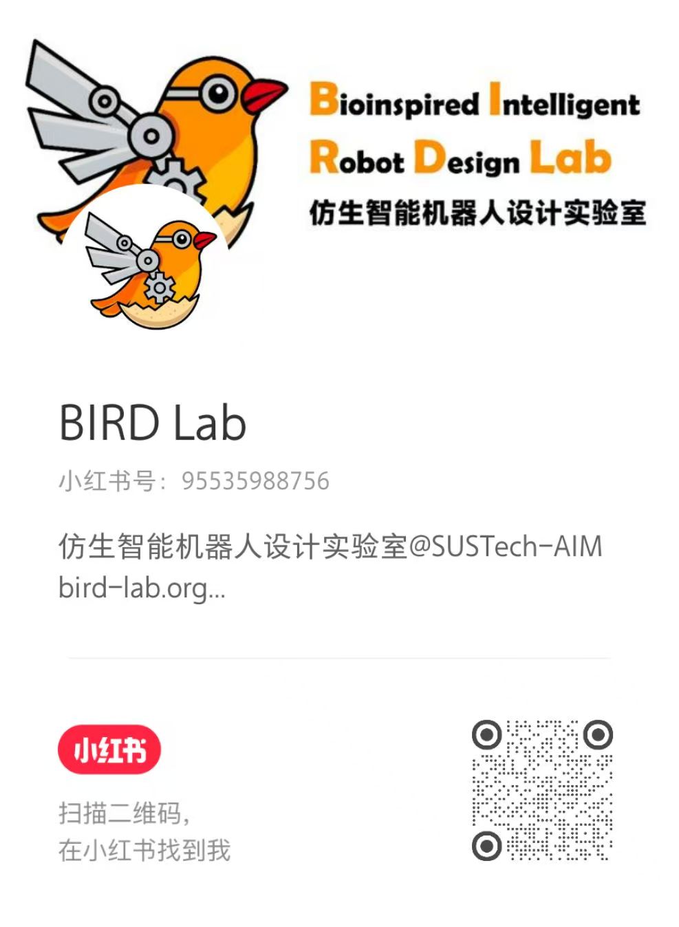 Xiaohongshu QR Code / 小红书二维码